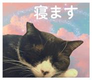 845117724