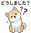 845118035