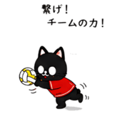 845118050
