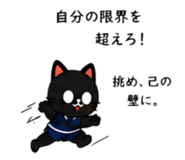 845118058