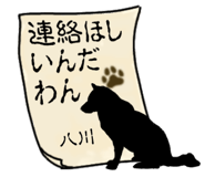 845120053