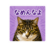 845123522