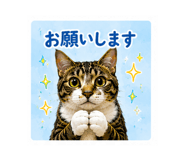 845123523