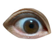 845125125
