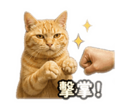 845125822