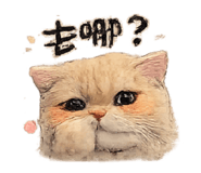 845125862