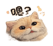 845125875