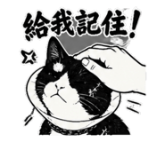 845126167