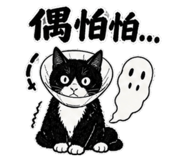 845126180