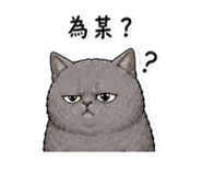845126264