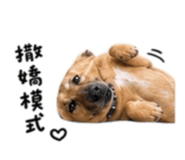 845126451