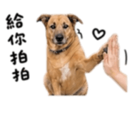 845126456
