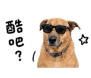 845126461