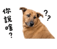 845126466