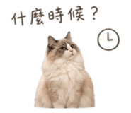 845126713