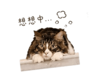 845126721