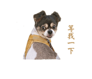 845126876