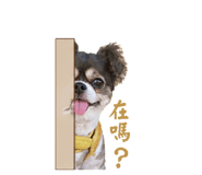 845126880