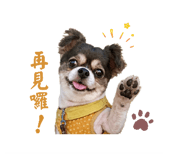 845126882