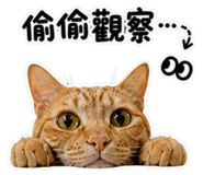 845127229