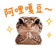 845128945