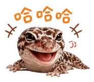 845128948
