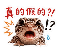 845128953