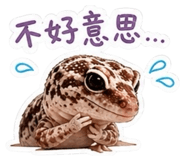 845128960