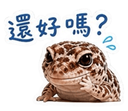 845128966