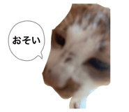 845130160