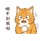 845130558