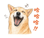 845132488