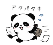 845134596