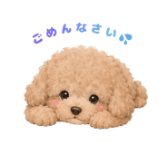 845135061