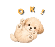 845135072