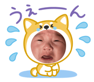845135612