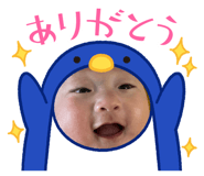845135625
