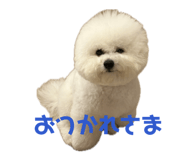 845135807