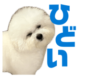 845135817