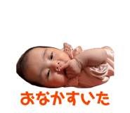 845136554