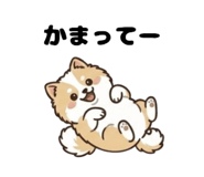 845136726