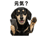 845137159
