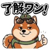 845137650