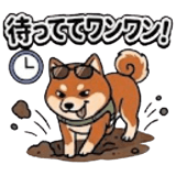845137656