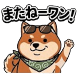 845137660