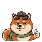 845137662