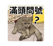 845159646
