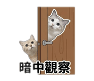 845159650