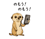 845160137