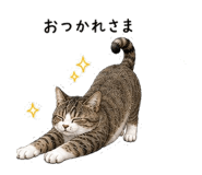 845160599